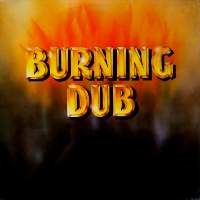 BURNING VIBRATIONS ALBUMS